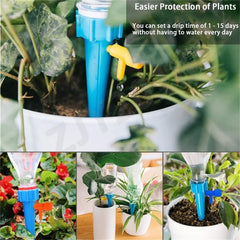 Self Watering Kits