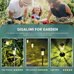 Garden Lights Solar Powered Lamp